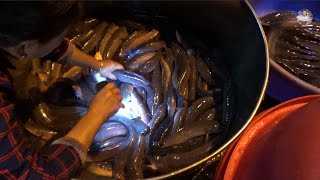 Thương lái cân cá mùa nước nổi nhìn thấy mà ham | Fishing in vietnam