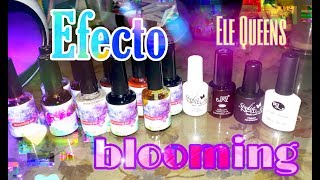 TINTAS DE ALCOHOL DE ELE QUEENS | EFECTO BLOOMING HUMO | RESEÑA