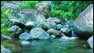 River sound relaxing- the sounds of nature and birds are pleasing to the ears