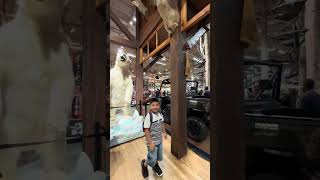 Polar bear inside Bass Pro Shop #canada #polarbear #bear #malling #kidsfun #polarbears