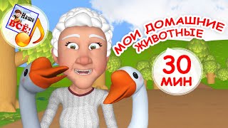 Мои домашние животные #1. МУЛЬТ-КОНЦЕРТ 30 мин ДЛЯ МАЛЫШЕЙ. Наше всё!