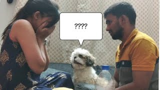 Rock paper scissors in front of my Dog | Dog saves me from getting beaten!!!!!