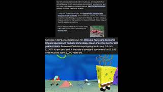 SpongeBob friends lifespan #spongebob #memes #spongebobmemes #edit