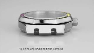 WC071 Sapphire Glass Stainless Steel Watch Case