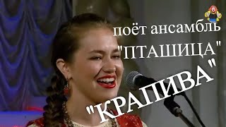 "КРАПИВА", поёт ансамбль "ПТАШИЦА" на концерте в гостях у "Митрофановны". Лучшее под гармонь