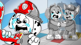 Brewing Cute Baby & Pregnant, But Color Are Missing!! - Paw Patrol The Mighty Movie - Rainbow 3