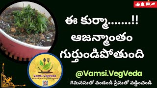 ఈ ఆకుకూర కుర్మా ......సొగసు చూడతరమా !! #youtube #cooking @VamsisVegVeda