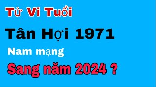 Tử vi tuổi Tân Hợi 1971 (nam mạng) sang năm 2024 sẽ thế nào ?