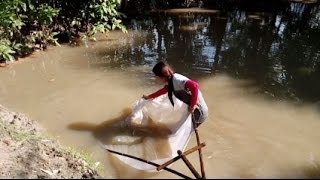 Wow!Amazing NetFishing-Beautiful Girl Fishing - Fishing in Cambodia