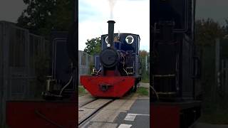 "Doll" 0-6-0T locomotive Vandyke Road crossing Leighton Buzzard Narrow Gauge Railway 17.9.23 #shorts