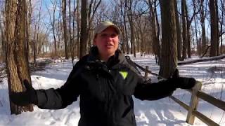 Lake St. Clair Metropark Nature Center: Hiking our Main Trail