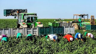 How Farmers Harvest over 88,300 Acres of Farmland in Alaska