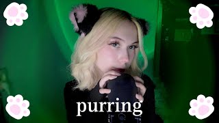 ASMR PURRING♡🐾 замурлычу тебя перед сном ~purring, scratching, mouth sounds~