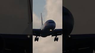 Turkish 777 landing in Miami #fyp #viral #shorts #aviation #boeing #777 #planespotting #miami