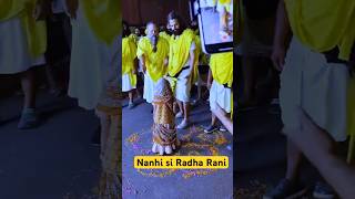 Vrindavan radha rani darshan Premanand baba ki video Vrindavan reels