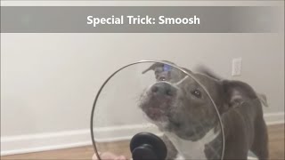 Virtual Trick Challenge Special Edition: Smoosh