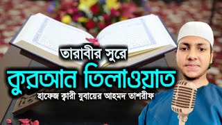 তারাবির সুরে তিলাওয়াত ক্বারী জুবায়ের আহমদ তাশরীফ || quran tilawat qari jubayer ahmad tasrif