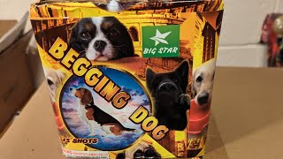 Begging Dog 25 Shot Firework