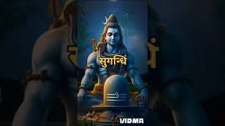 Maha Mrityunjay Mantra । महा मृत्युंजय मंत्र।🥀🌈 ॐ नमः शिवाय।