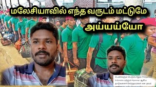 இந்தியாவில் இந்த வருஷம் இவ்வளவு ஆட்கள் | it's me TPD YOUTUBE