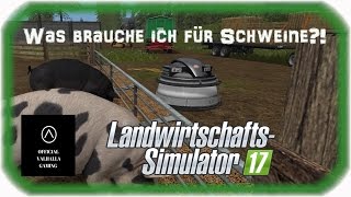 LS17 - Was brauche ich für Schweine?!