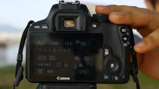 [Canon EOS 100D] AF Test of 18-55mm IS STM at 55mm (Phase Detection AF)