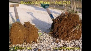 Ulrich Schreier : Partie II - Agriculture Biodynamique