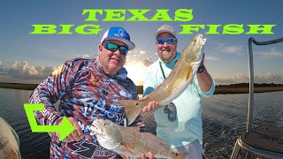 Shallow Water Scouting for Red Fish with Captain Sholmire in Texas