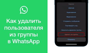 Как удалить пользователя из группы в WhatsApp