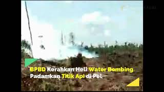 BPBD Kerahkan Heli Water Bombing Padamkan Titik Api di Pelalawan