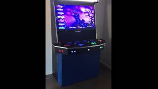 The Beast   Retropie   Attract Mode   Upright Cabinet