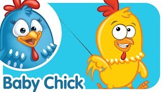 Animal Songs: Baby Chick | Lottie Dottie Chicken UK | Nursery Rhymes For Kids