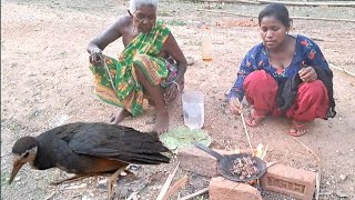 Waterhen Village Style Cooking // Jalmurgi Recipe  // Waterhen Bird Curry Tribe Method Recipe #vlogs