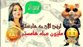 حل لغز المفتاح في بوت هامستر اليوم mini game  وشفرة هامستر daily cipher