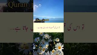 400 مرتبہ یا محمد پڑھنے کا فائدہ #quranpak #video #wazifa #shortvideo