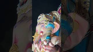 ॐ गण गणपतेय नमः ❤️ #ganpati #bappalover #ganpatibappamorya #viralvideo #trending #shorts #fyou