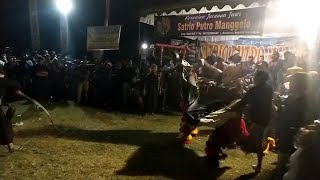 Banteng Suro ~ Satrio Putro Manggolo