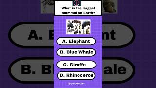 What is the largest mammal on earth?