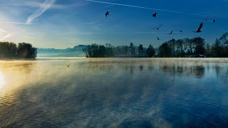 【4K】Morning Walk At The Lake | Lake Sempach | High Water Level