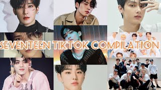 Seventeen TikTok Compilation pt.1