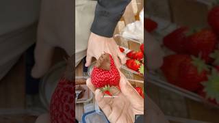 All you can eat strawberries in Japan #mondalengo #visitjapan #strawberry #streetfood