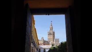 Things to see and do in Seville, Spain: Alcazar, Metropol Parasol and Plaza de Espana