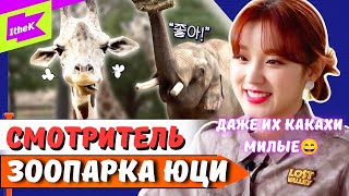 🐘🦒LEARN WAY с ЮЦИ в зоопарке🔥Убрала 8 ТОНН каках🙌🏻😊!