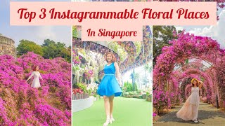 Secret Instagrammable Places in Singapore | Travel Vlog 2019 | Angela Bautista