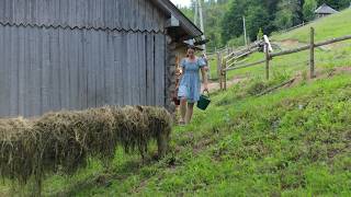 Hard Work And Real Human Happiness in a Untamed Mountain Village