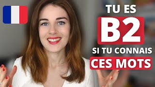 Tu as un Niveau B2 en Français si tu connais ces Mots | Vocabulaire Avancé Français