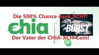 BURST Coin?! Der Bruder der XCH Chia Coin?! Die 500% Chance? Reitet er mit auf der Chia-Welle?!