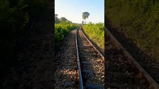 railway line by পরিবেশ