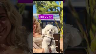 #shorts #youtube #youtubeshorts #shortsvideo #youtubevideo #short #shortvideo #dog #funny #cute #pet