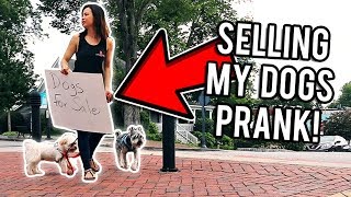 Selling My Dogs PRANK